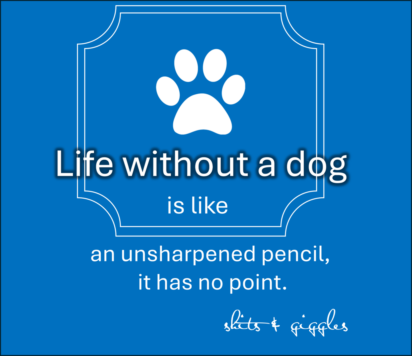Life without a dog